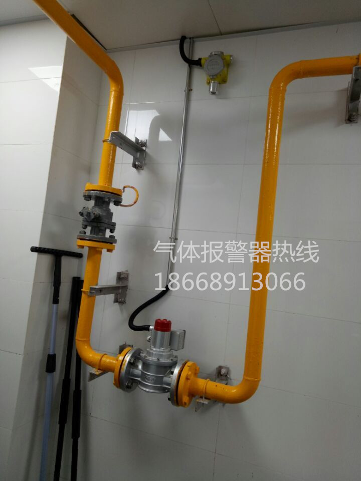 燃气泄漏报警器