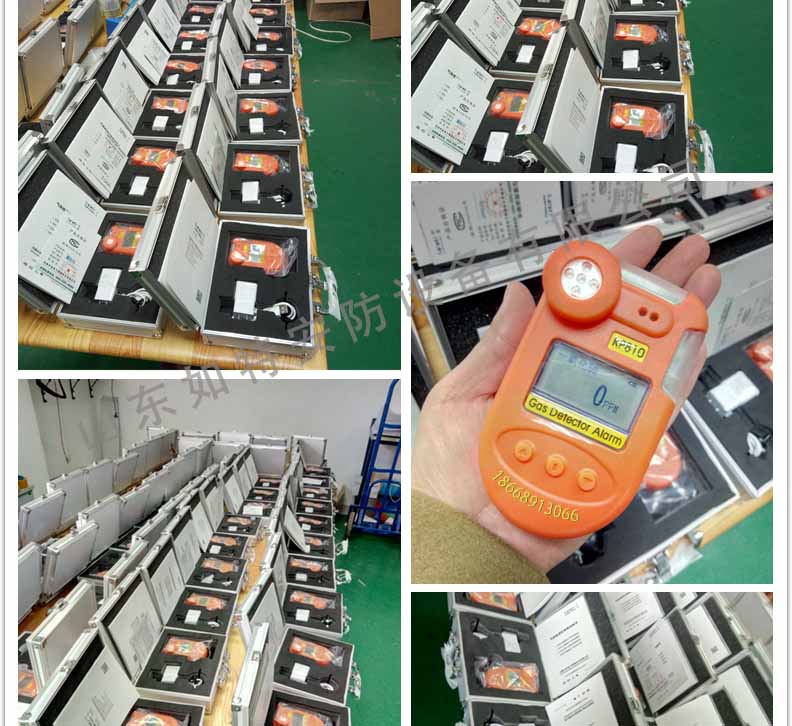 KP810一氧化碳气体检测仪