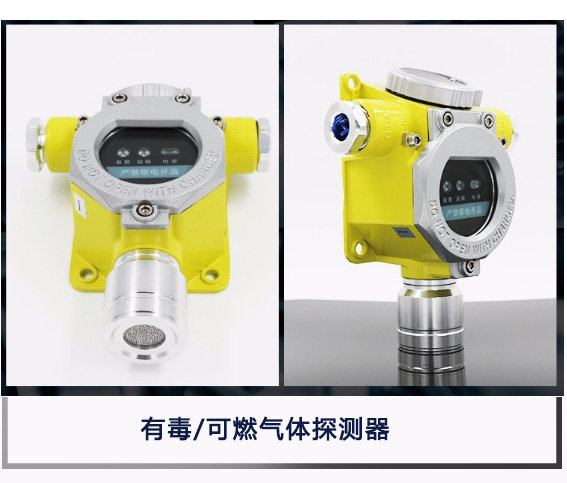 RBT-6000-ZLG气体探测器