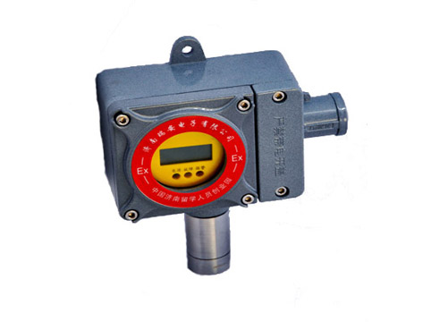 RBT-6000-FX型气体探测器(图1)